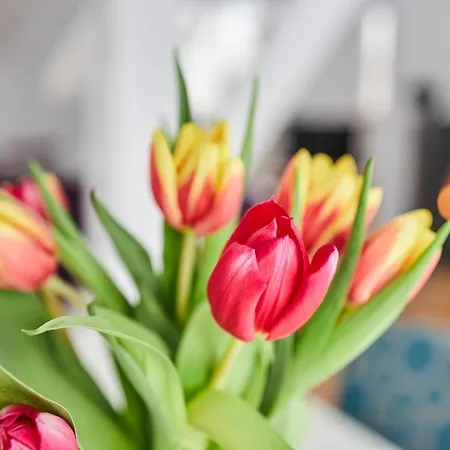 Prázdninový dům Komfortables - Traumhafte Entspannung In Purer *