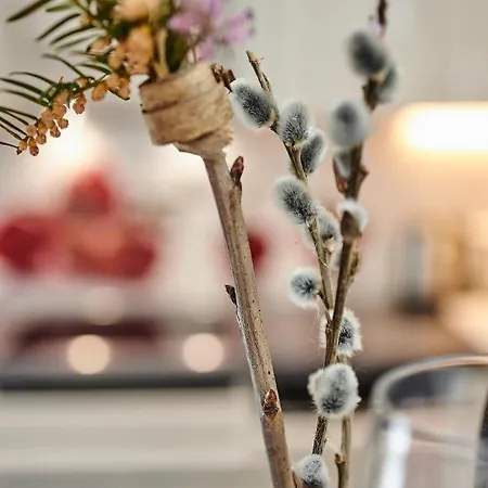 Komfortables - Traumhafte Entspannung In Purer Prázdninový dům Gellershausen