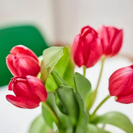 Prázdninový dům Komfortables - Traumhafte Entspannung In Purer